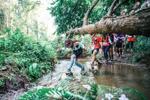 BIB: 
                            <button type="button" onclick="openModal(25477016)" class="btn btn-primary btn-sm float-right btn-popup" data-toggle="modal" data-target=".modal-high-quality">
                        <i class="fas fa-shopping-cart"></i> Add to Cart
                    </button>
                                            <button type="button" onclick="isThisMe(25477016, true)" class="btn btn-success btn-sm float-right btn-popup btn-isme hidden" data-toggle="tooltip" data-placement="bottom" title="นี่คือรูปของคุณใช่ไหม คลิกที่นี่เพื่อเอาเข้าอัลบั้ม">
                        <i class="fas fa-plus"></i> Add to album
                    </button>
                    <button type="button" onclick="isThisMe(25477016, false)" class="btn btn-warning btn-sm float-right btn-popup btn-isnotme hidden">
                        <i class="fas fa-ban"></i> Remove from album
                    </button>